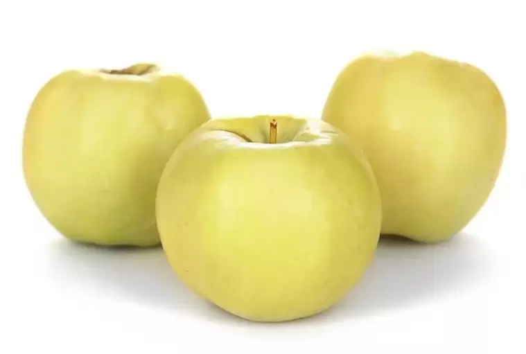 manzanas para el tratamiento de las varices
